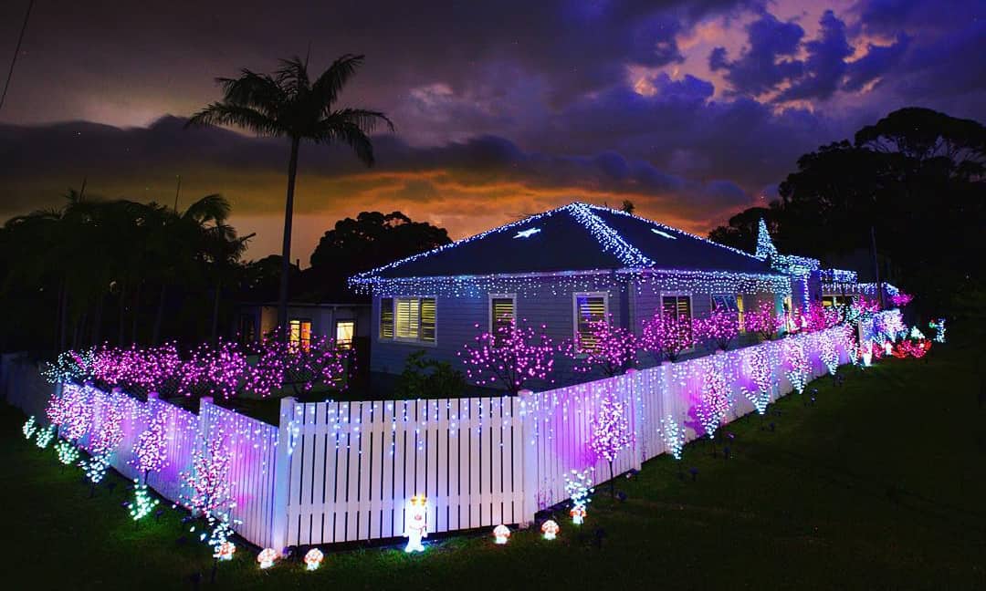 10 Best Solar Christmas Lights Reviews and Guide for 2022
