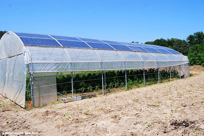 Benefits of Solar Greenhouse Systems
