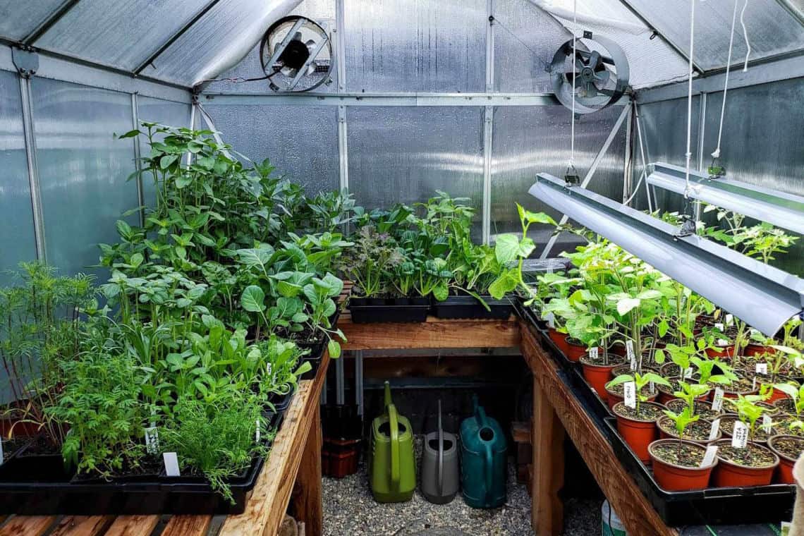 solar heaters for greenhouses